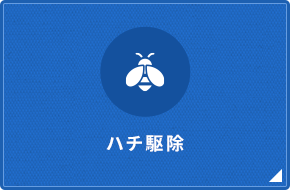 bnrmany08_off